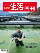 缶߶ز¶