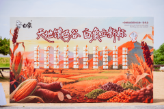 更好吃的杂粮挂面：白象用技