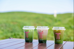 一片径山茶的旅行：从茶园到