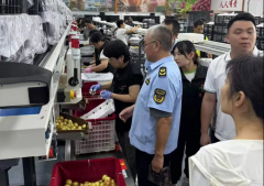 陕西大荔县：守护“小冬枣”