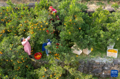 �����������彭�ո̲���æ