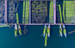 �㽭������ǧ������ɽ��̬��