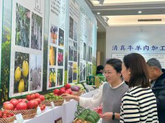 ���Ѳ����������������ȫ��