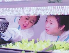 ֲ�﹤����ġ��ڿƼ���