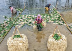 ���ϵ��أ���ˊͷ ������