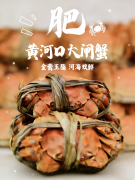 ˭˵�����ǵ���������³��׳