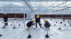 �ƶ˲�԰������ʽԾ��