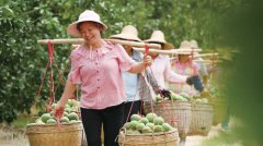 ���ٺ�Ϊ���������족��