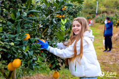 ������Զ������ο��������