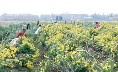 ����¹�����κ���  С�ջ���