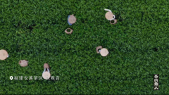 ��γ25�㰲Ϫ���������ĸ���