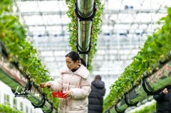 ���������������ժ�����С�