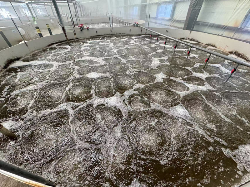 ����������ֳ�أ���16�������治�ϳ���ð�ݡ����ɷ���