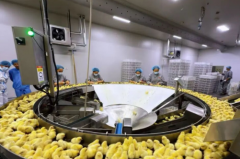 һö������ȫ��ҵ��ͻΧ