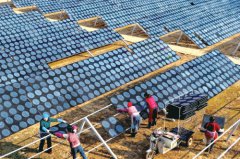 �������ݡ������ٽ�����ɹ��