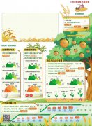 �ر�ũƷ����ζ���䡰Ʒλ��