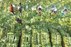 �ӱ���������ײ�����æ