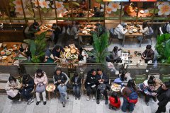 ����������˫���������조��