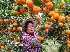 �������㣺��ժɳ�ǽ�