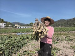 �㶫�����غ�ͷ��  ��������