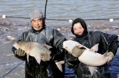 ���չ��ơ�����������������