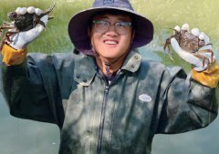 ���ﺣ��з�������ϡ����ֺ�