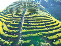 �������й��������ѡ��3��