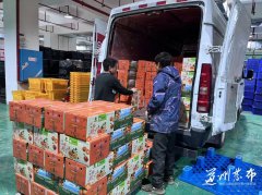 ˫�򱼸�������ʮ�������ר