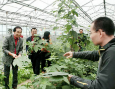 ������������ƪ ���������