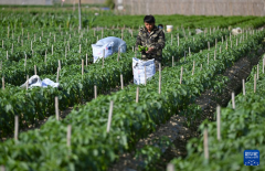 ���϶����ϲ�½������