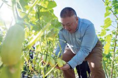 ȫ�������ƹ�Ʒ���������