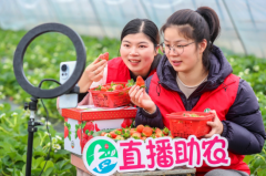 �㽭���ˣ�̽����ģʽ �ؿ�