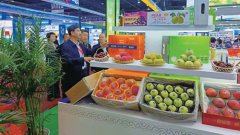 ��ɫ�������ġ� ȫ������ͼ